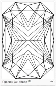 phoenix-cut-wireframe.jpg