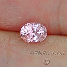 sapphire_pink_497_a.jpg