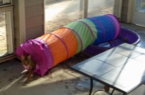 7-7-2016_waterslide.jpg