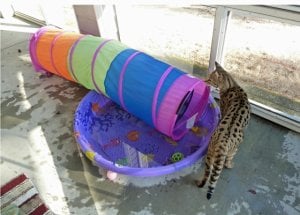 7-7-2016_waterslide_2.jpg