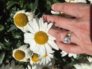 img_12215.jpg