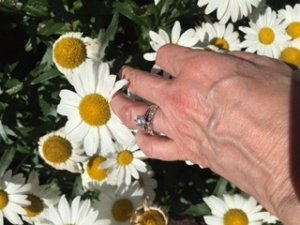 img_12216.jpg