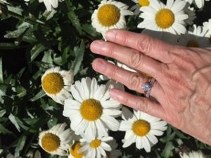 img_12217.jpg