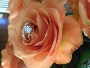 img_12247.jpg