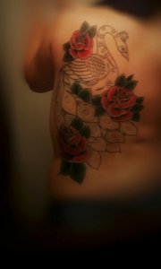 0714161905b-01-01.jpeg