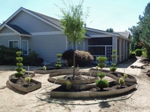 7-15-2016_parterre_plants.jpg