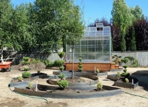 7-15-2016_parterre_plants_2.jpg