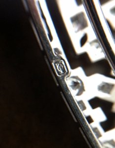 _37890.jpg