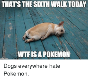 thats-the-sixth-walk-today-wtfisa-pokemon-dogs-everywhere-hate-3056033.png