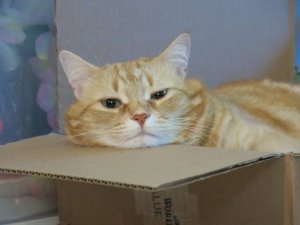 img_12397.jpg