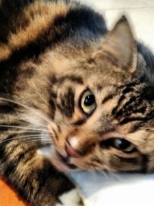 2016-01-09_12.jpg