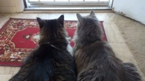 img_20160523_0.jpg