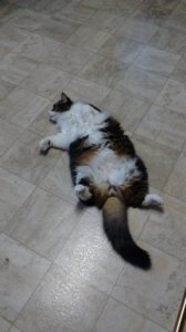 img_20160510_062601584.jpg
