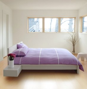 unisonlilac.jpg