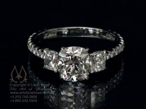 r886_024Ww leon mege at artofplatinum.jpg