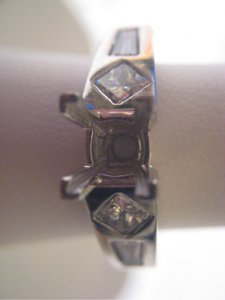ring_pic01.jpg ring_pic01.jpg