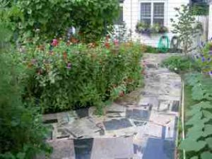 image0023smaller.jpg