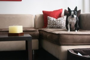 indoors 002.jpg