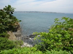 Newportcliff1.jpg