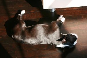 floor 002.jpg