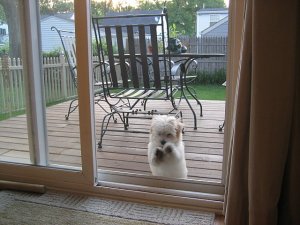 baleydoor.jpg