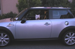 new car c.jpg