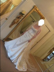 another picture of the dress I actually bought.JPG