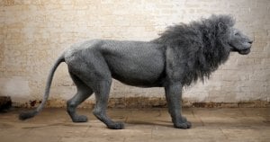 lion.jpg