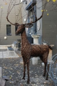 grapevinedeer1.jpg