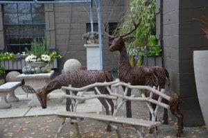 grapevinedeer2.jpg