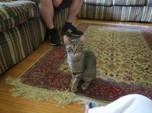 img_12515.jpg