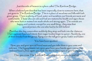 rainbow-bridge-poem.jpg