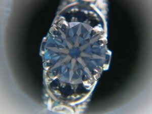 img_12516.jpg