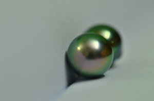 csc_1017.jpg csc_1017.jpg