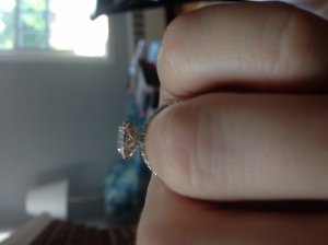 _29051.jpg