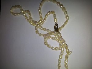 20160825_143919.jpg