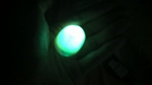 wp_20160808_18_31_58_pro.jpg