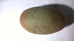 wp_20160821_20_41_51_pro.jpg