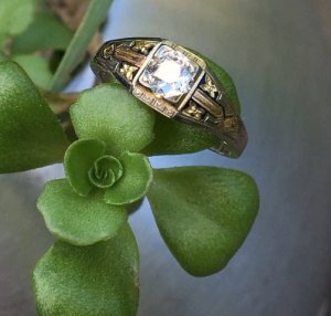 enamel-ring2.jpg enamel-ring2.jpg
