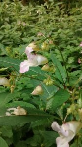img_20160906_092224510.jpg