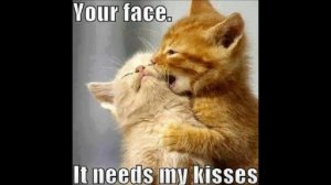 yourfaceneedsmykisses.jpg