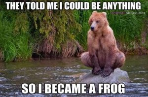 bear_frog.jpg