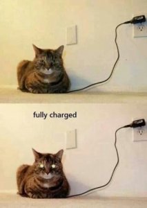 fully_charged.jpg