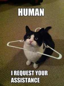 need_assistance.jpg
