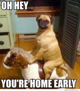 humans_home_early.jpg