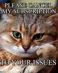 kitty_cancel_issues.jpeg