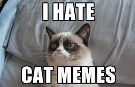 hatecatmemes.jpg