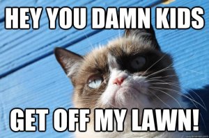 kidsgetoffmylawn.jpg