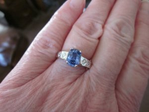 img_12782.jpg