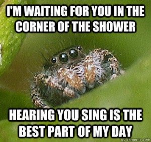 spider_in_the_shower.jpg